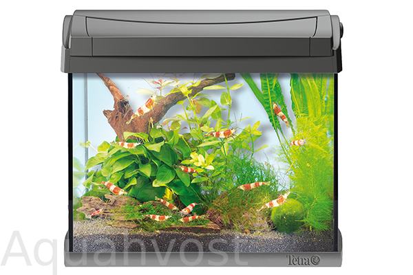 Аквариум Tetra AquaArt LED Shrimp 20л для креветок
