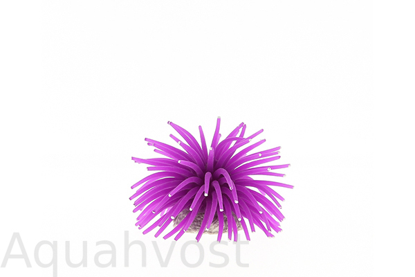 Коралл силиконовый на керамической основе, фиолетовый, 4.5х4.5х4см