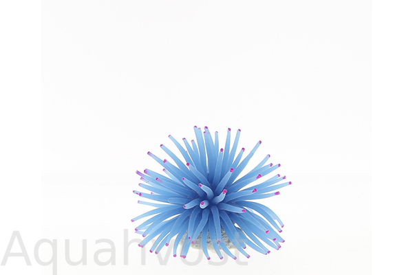 Коралл силиконовый на керамической основе, синий, 4.5х4.5х4см
