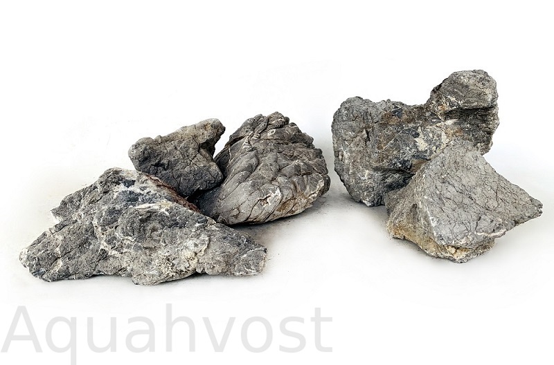 gl-004935