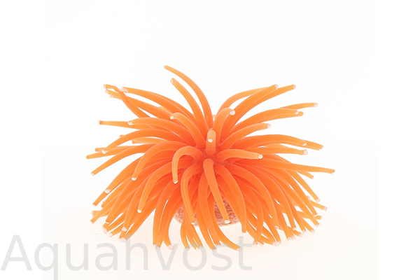 Коралл силиконовый на керамической основе, оранжевый, 4.5х4.5х4см